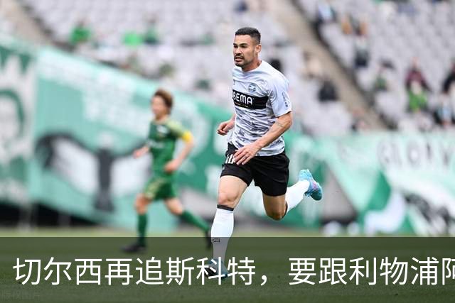 切尔西再追斯科特，要跟利物浦阿森纳热刺抢人