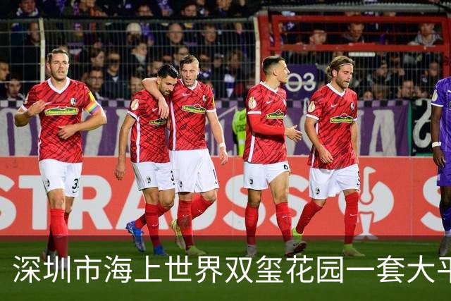 深圳市海上世界双玺花园一套大平层海景房拍卖，被人5116万元竞得