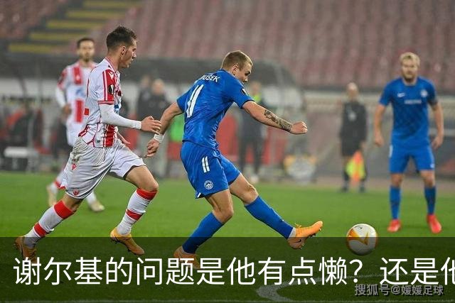 谢尔基的问题是他有点懒？还是他有点挑队友？