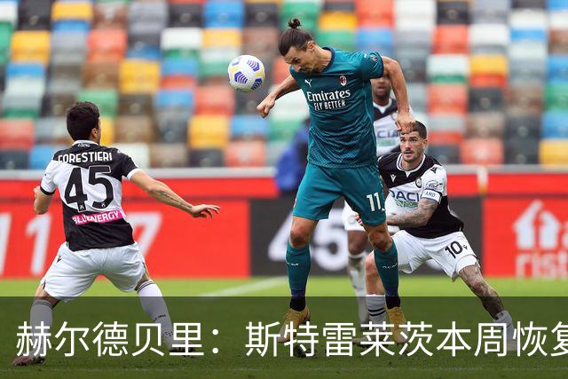 赫尔德贝里：斯特雷莱茨本周恢复合练，或赶上查尔顿之战